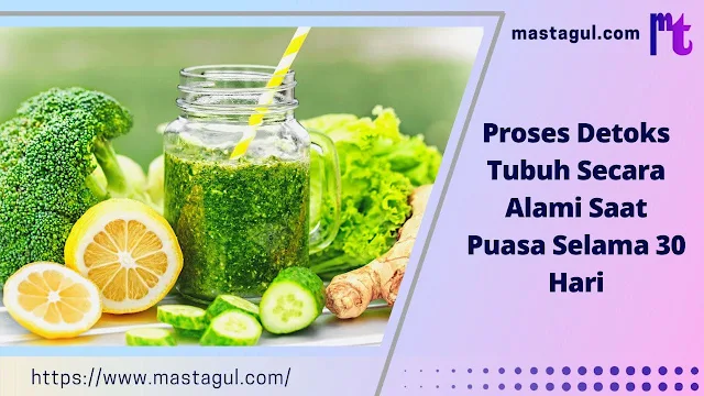 Proses Detoks Tubuh Secara Alami