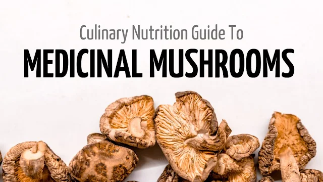 Medicinal Mushrooms