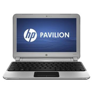 HP DM1-3100