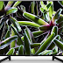 Sony Bravia 123 cm 49 inches 4K Ultra HD Smart LED TV KD-49X7002G Black 2019 Model
