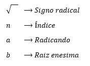 Algoritmo