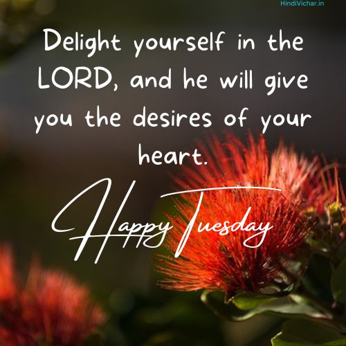 Happy Tuesday Positive Blessings