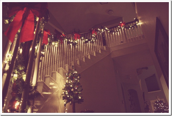 Christmas decorations 2011 221-1