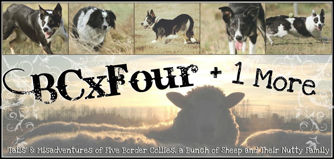 BCxFour