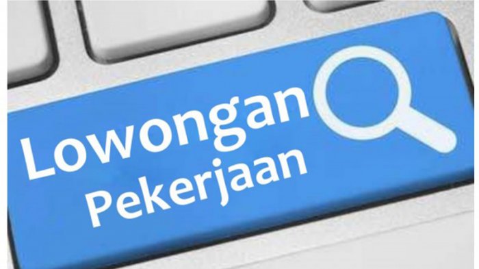 Lowongan Kerja PT Joybiz Business International