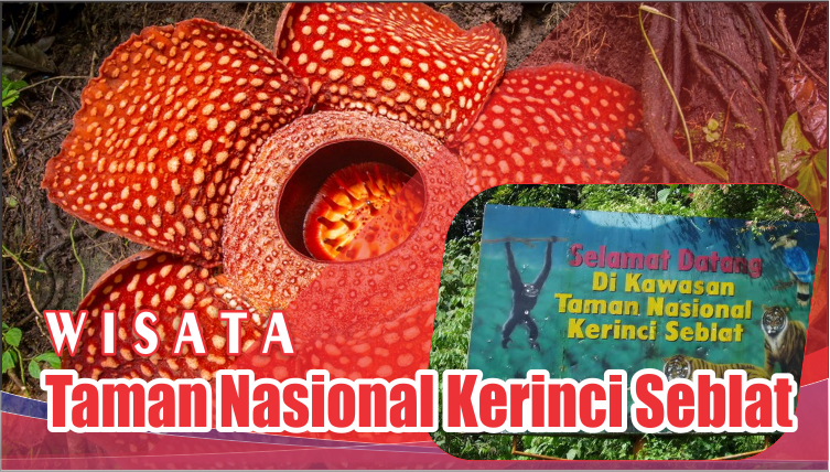 Wisata Taman Nasional Kerinci Seblat