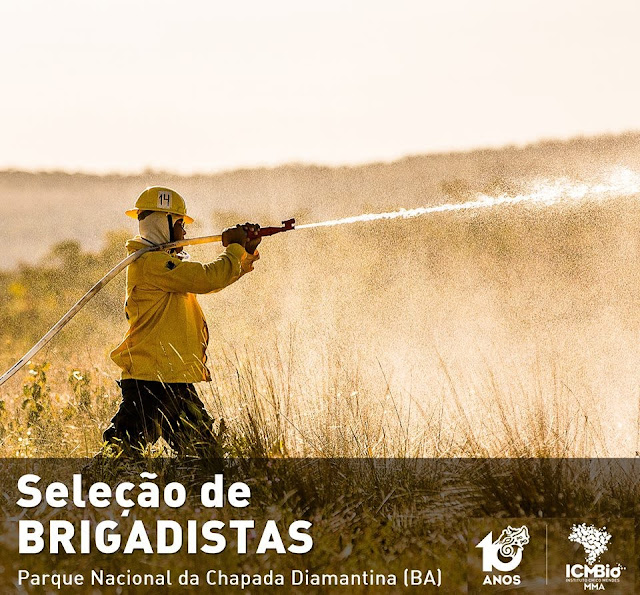 Foto de um homem com uma mangueira apagando incêndio florestal