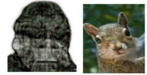 Bigfoot Is In The Eye Of The Beholder