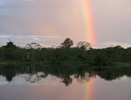 FLORESTA ESTADUAL DO IRIRI - PA