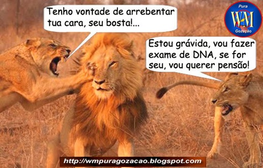 FLAGRANTE - PULOU A CERCA, FUDEU! 2 - Tenho vontade de te arrebentar a cara, seu fdp! - Se eu estiver grávida, vou pedir o DNA