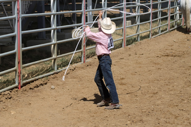 a young cowboy practices his roping technique