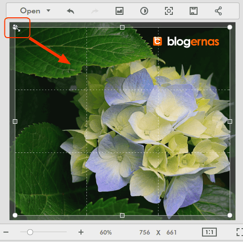 Cara Crop Online Foto di Situs Fotor