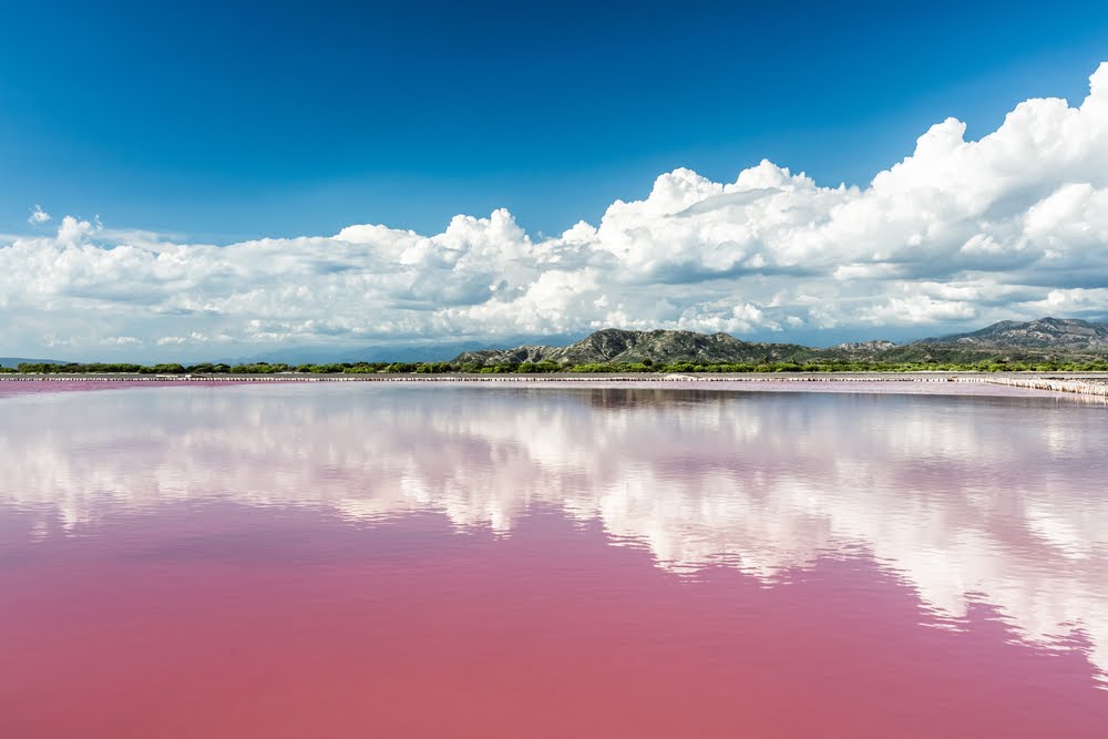 Pink Lake Retba of Senegal