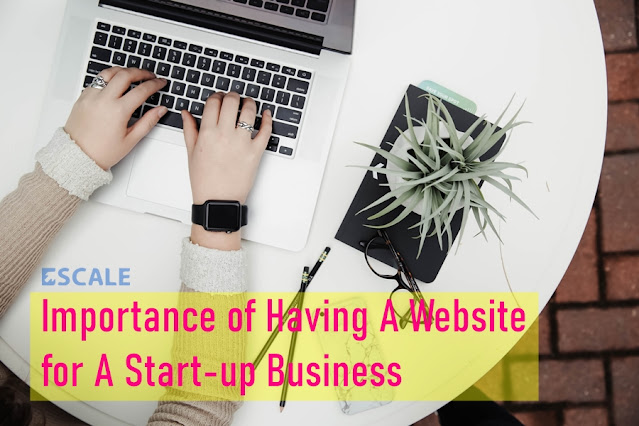 Importance of Having A Website for A Start-up Business