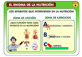 http://ntic.educacion.es/w3/eos/MaterialesEducativos/mem2007/enigma_nutricion/enigma/aparatos.html