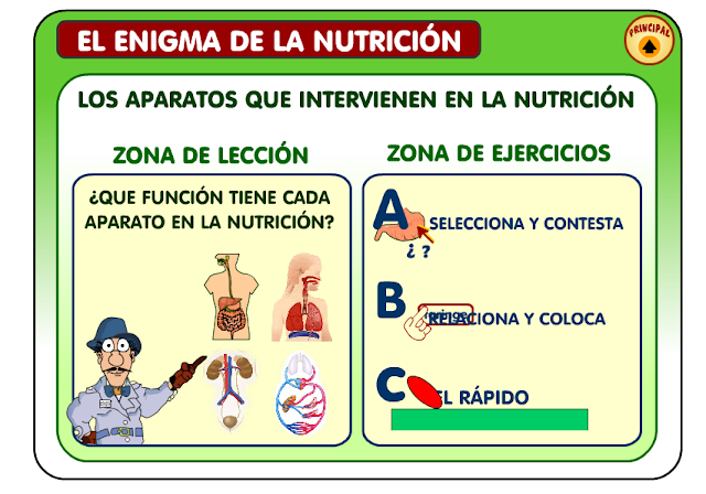 http://ntic.educacion.es/w3/eos/MaterialesEducativos/mem2007/enigma_nutricion/enigma/aparatos.html