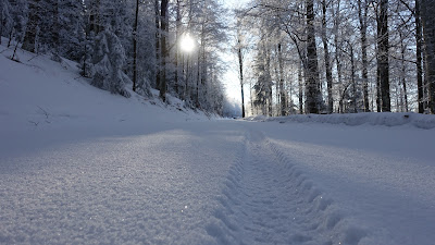 Bikespur im Schnee