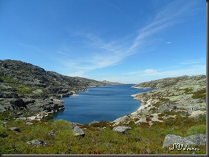 SAM_0682