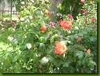clip_image006
