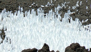 P1120330