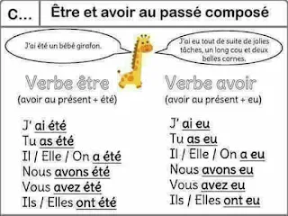 français : conjugaison et grammaire pour 4éme, 5éme et 6éme année