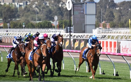 race 3_finish 1