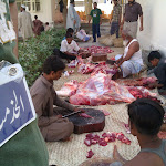 Eid Al Adha Mubarak Video Download