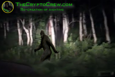 Bigfoot Sighting Report From West Virginia The Crypto Crew