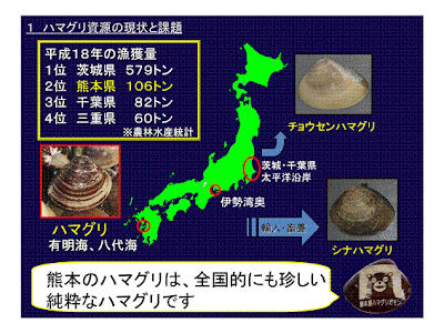 ハマグリ 養殖 438422-ハマグリ 養殖