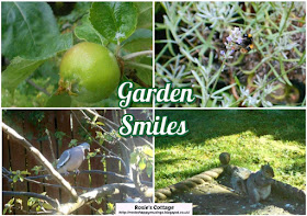 Garden Smiles: Counting my blessings with apples, garden guests and those "bee bombs" growing lovely new plants for our buzzy friends :)