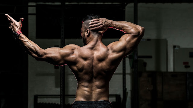 Build Lower Back Muscles