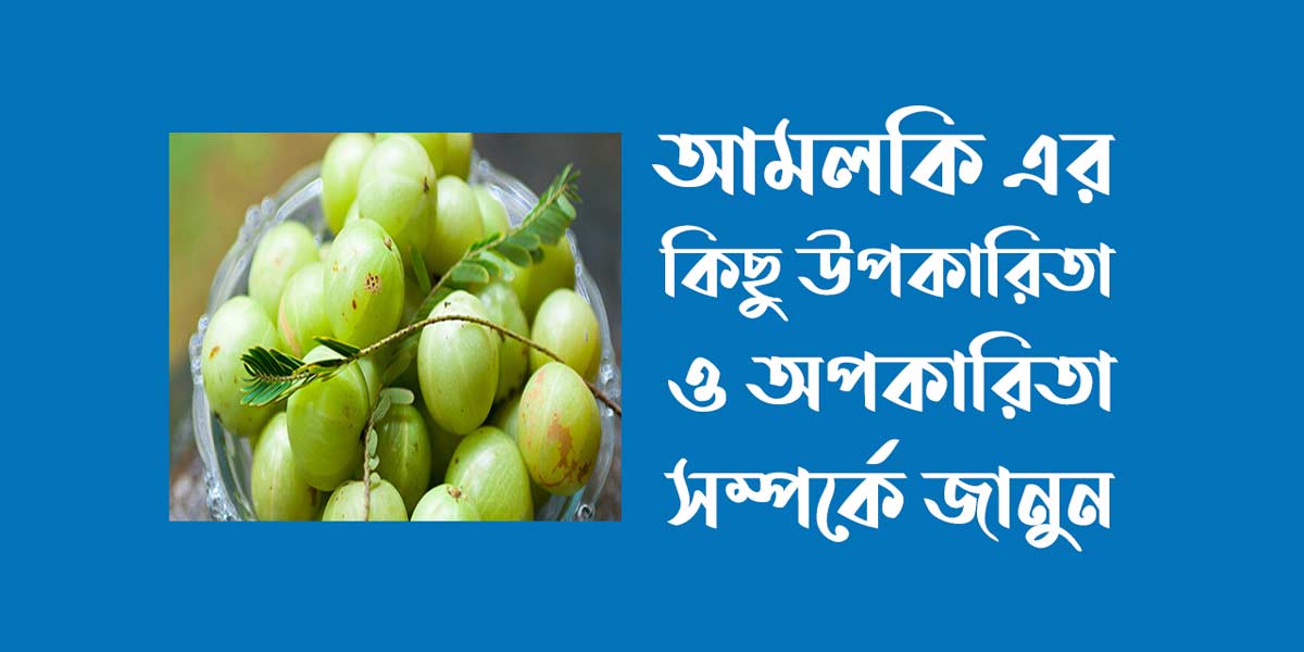 আমলকি খাবার বিশেষ কিছু উপকারিতা ও অপকারিতা