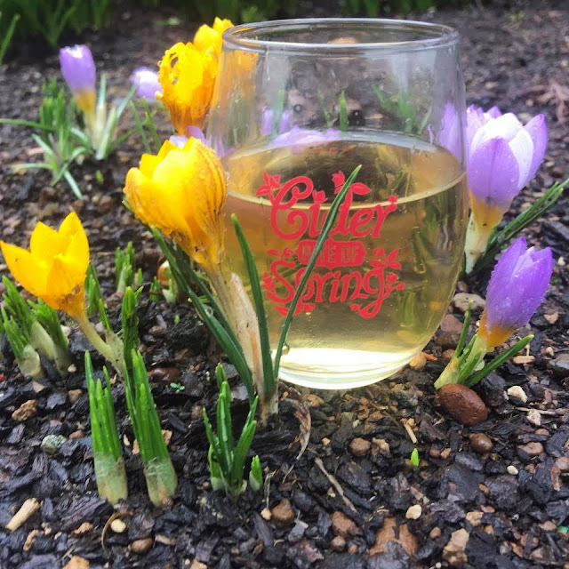 5th Annual Cider Rite of Spring Celebrates Blossoming Northwest Cider Industry