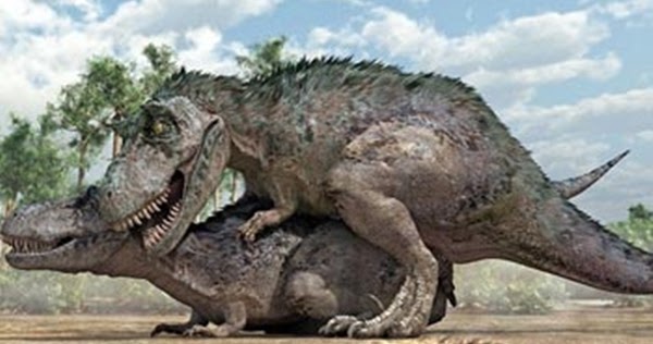 Begini Cara Dinosaurus Berhubungan Seksual KEMOCENG