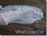 Grocery Sack Yarn-put the bag on your arm