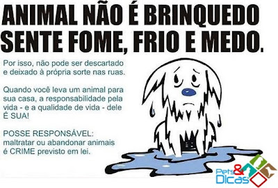 Resultado de imagem para A posse responsÃ¡vel de animais de estimaÃ§Ã£o