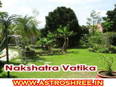 plants for nakshatra vatika