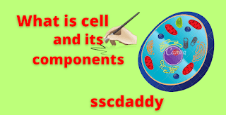 what is cell