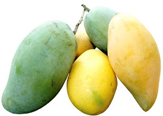 Taksonomi Buah Mangga