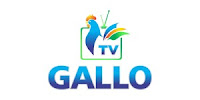 TV GALLO