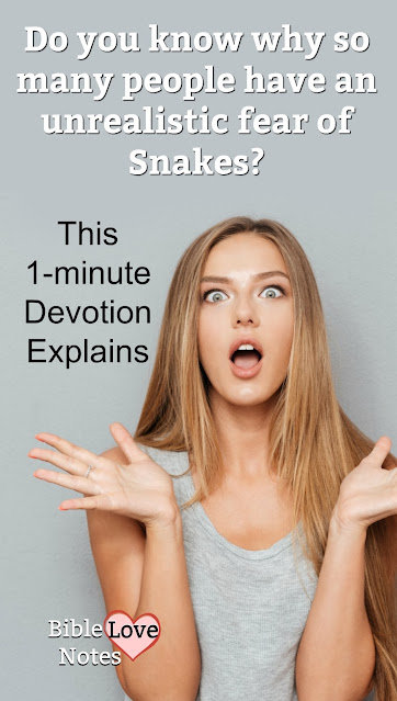 People have an unrealistic fear of snakes, and this 1-minute devotion suggests this fear may have a biblical basis. #BibleLoveNotes #Bible #Devotions