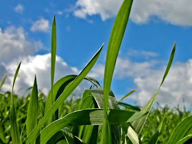 wallpapers of nature 2011. wallpaper nature 2011. hd