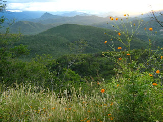 reserva natural biosfera, la sepultura, chiapas, méxico, ANP