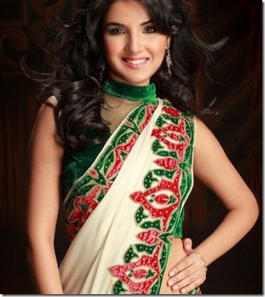 jasmin_bhasin_beautiful_still_in saree