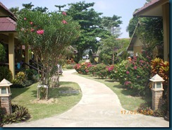 Koh Lanta (10)