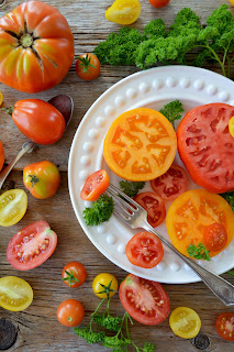 A white plate holding sliced tomatoes with yellow and read tomatoes scattered around it on the table.