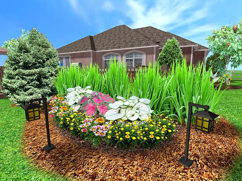 Backyard Landscape Design Software