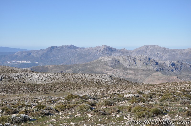 Jarastepar - Cancho de Almola