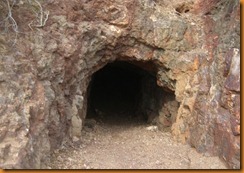 CIMG2769