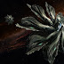 Elite Dangerous clan becomes the first to destroy a Thargoid ship